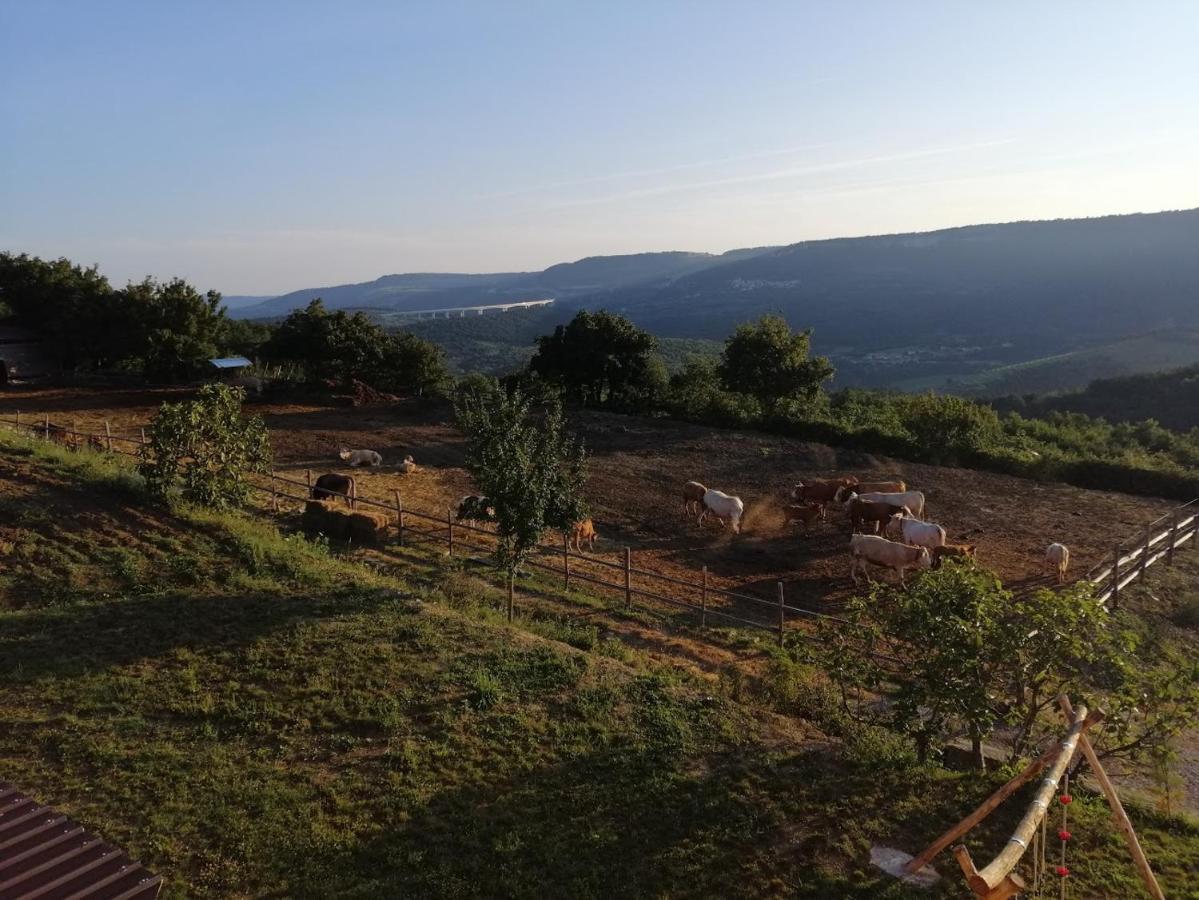 Camping Jakomin Koper Exterior foto